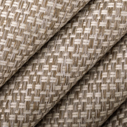 D4889 Mushroom Patio Plains II Collection (Charlotte Fabrics)