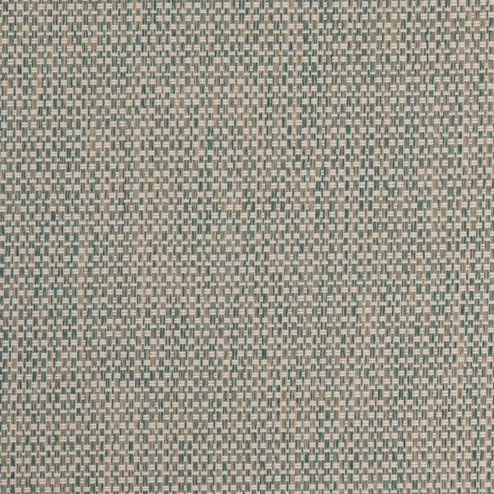 D4892 Pool Patio Plains II Collection (Charlotte Fabrics)