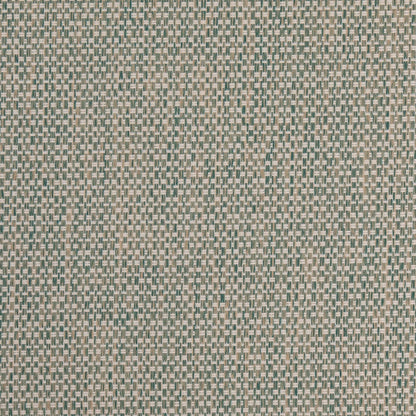 D4892 Pool Patio Plains II Collection (Charlotte Fabrics)