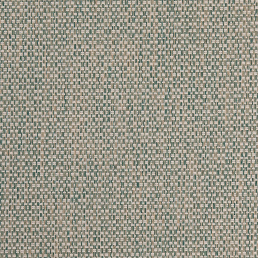 D4892 Pool Patio Plains II Collection (Charlotte Fabrics)