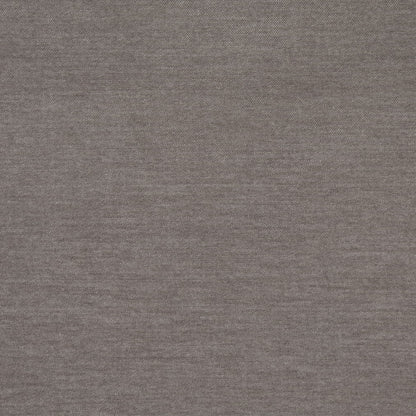 D4901 Fossil Studio Velvet (Charlotte Fabrics)
