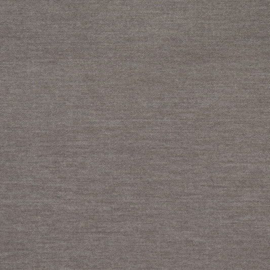 D4901 Fossil Studio Velvet (Charlotte Fabrics)