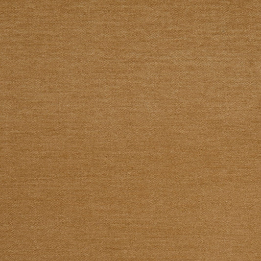 D4904 Honey Studio Velvet (Charlotte Fabrics)