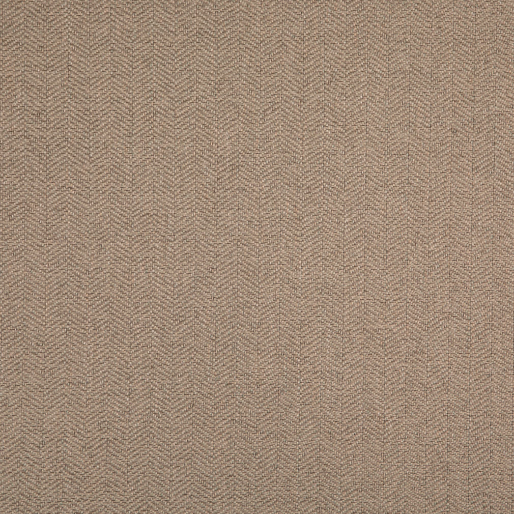D5006 Sage VALUE MODERN (Charlotte Fabrics)