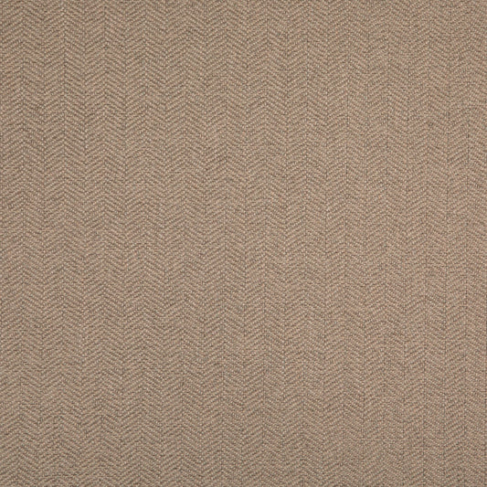 D5006 Sage VALUE MODERN (Charlotte Fabrics)