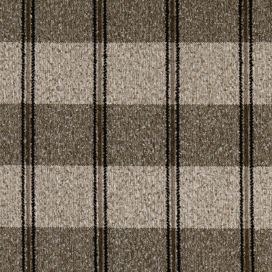 F100-153 Raven Collection (Charlotte Fabrics)