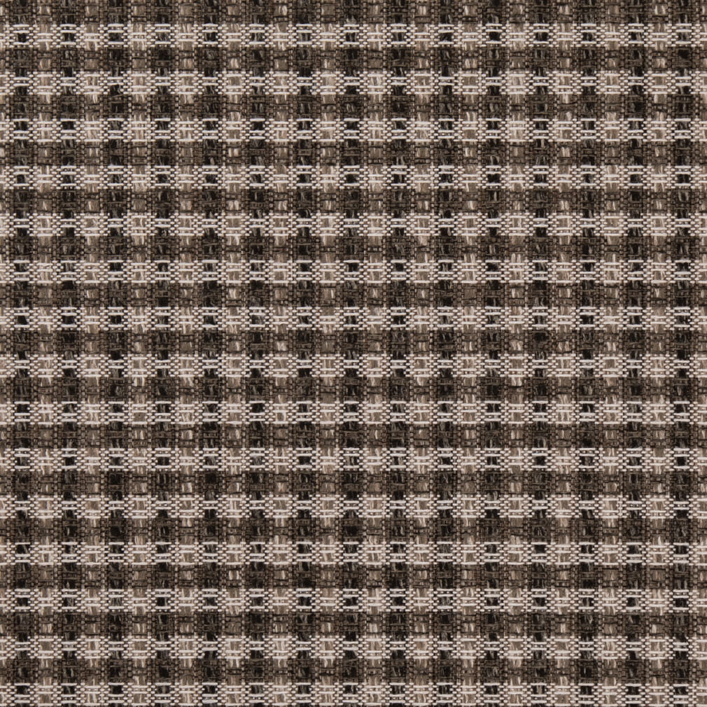 F100-154 Raven Collection (Charlotte Fabrics)
