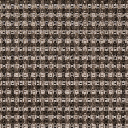 F100-154 Raven Collection (Charlotte Fabrics)