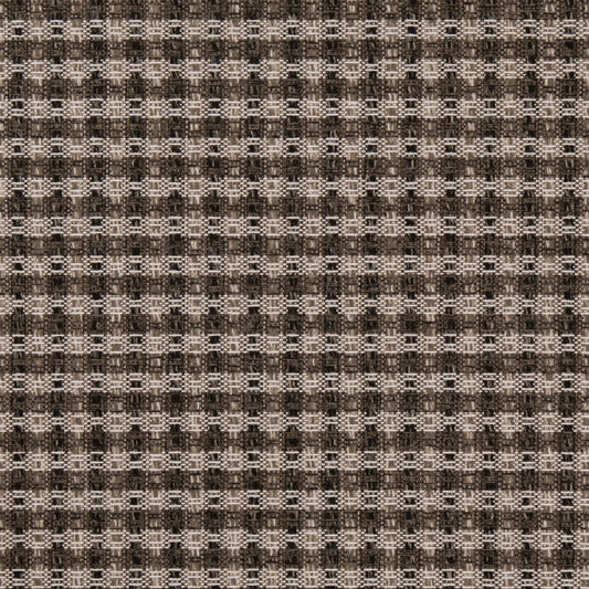 F100-154 Raven Collection (Charlotte Fabrics)
