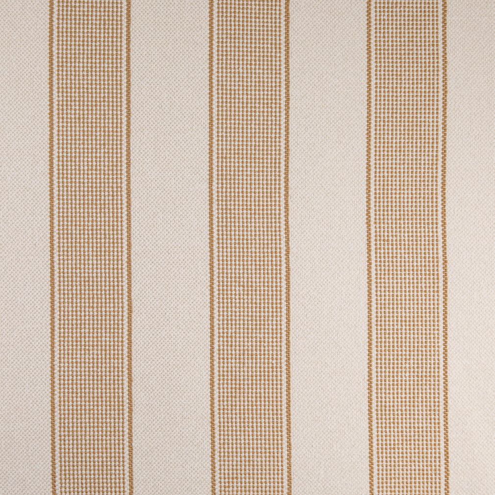 F100-155 Goldenrod Collection (Charlotte Fabrics)