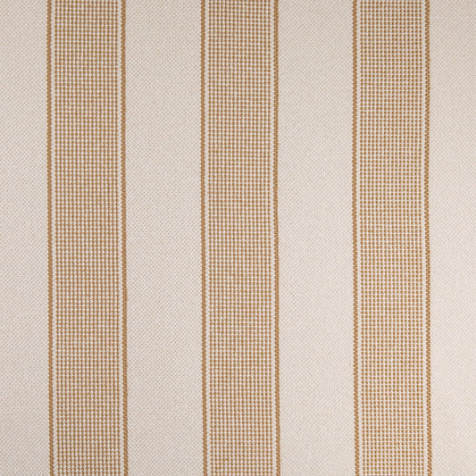 F100-155 Goldenrod Collection (Charlotte Fabrics)