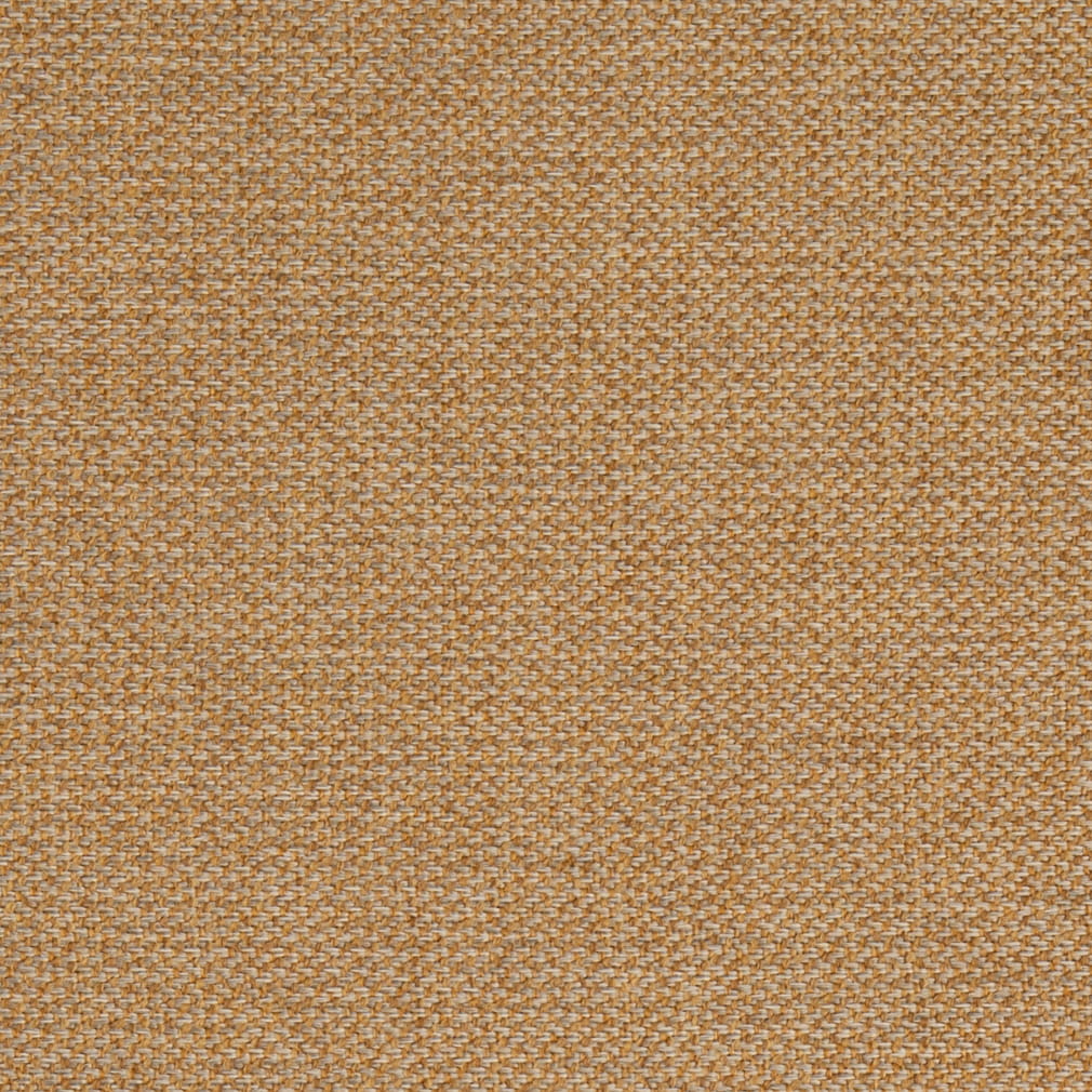 F200-188 Goldenrod Collection (Charlotte Fabrics)