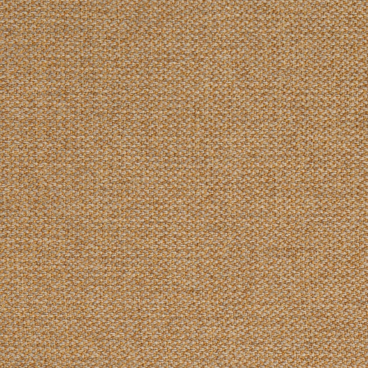 F200-188 Goldenrod Collection (Charlotte Fabrics)