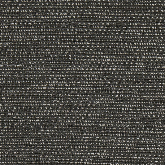 F200-191 Raven Collection (Charlotte Fabrics)