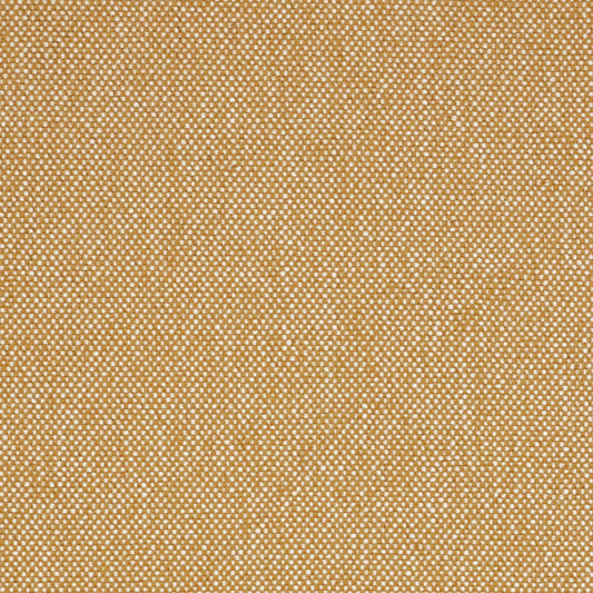 F200-195 Goldenrod Collection (Charlotte Fabrics)