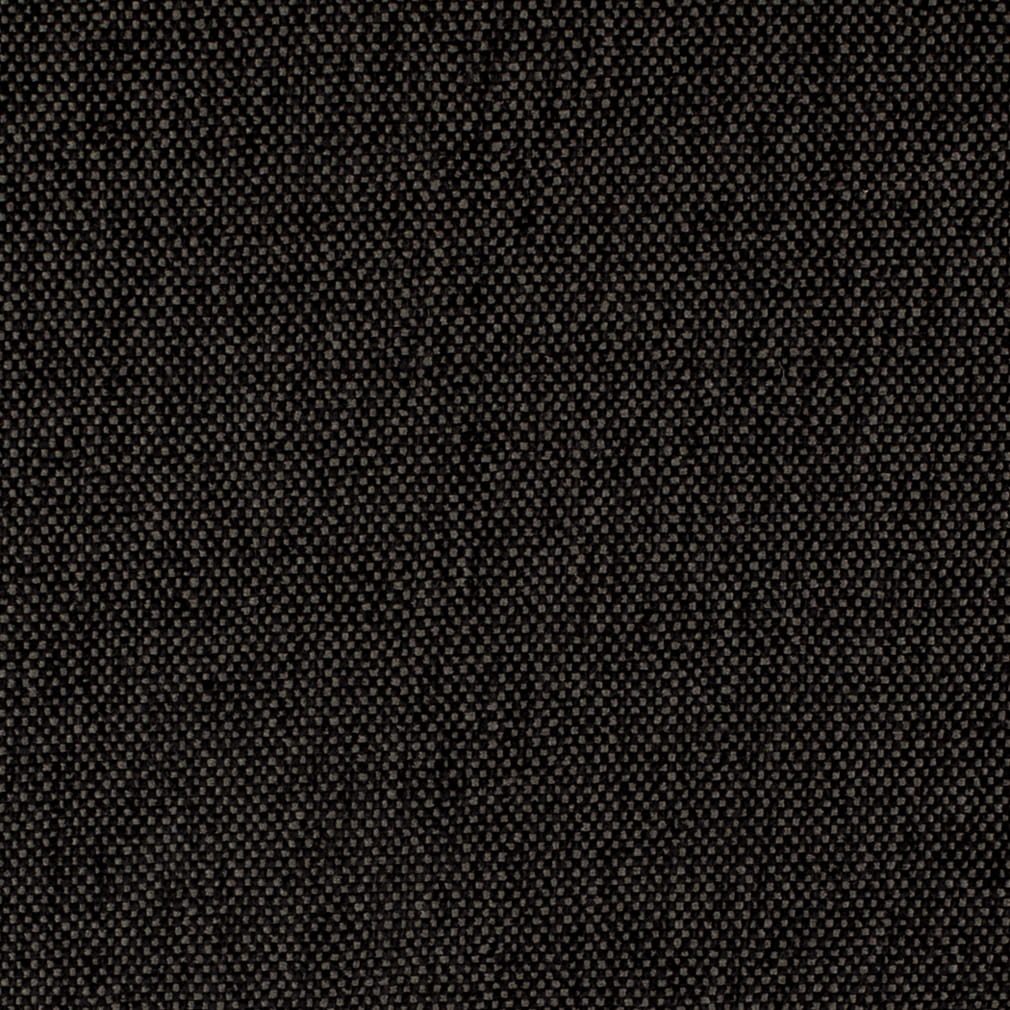 F200-196 Raven Collection (Charlotte Fabrics)