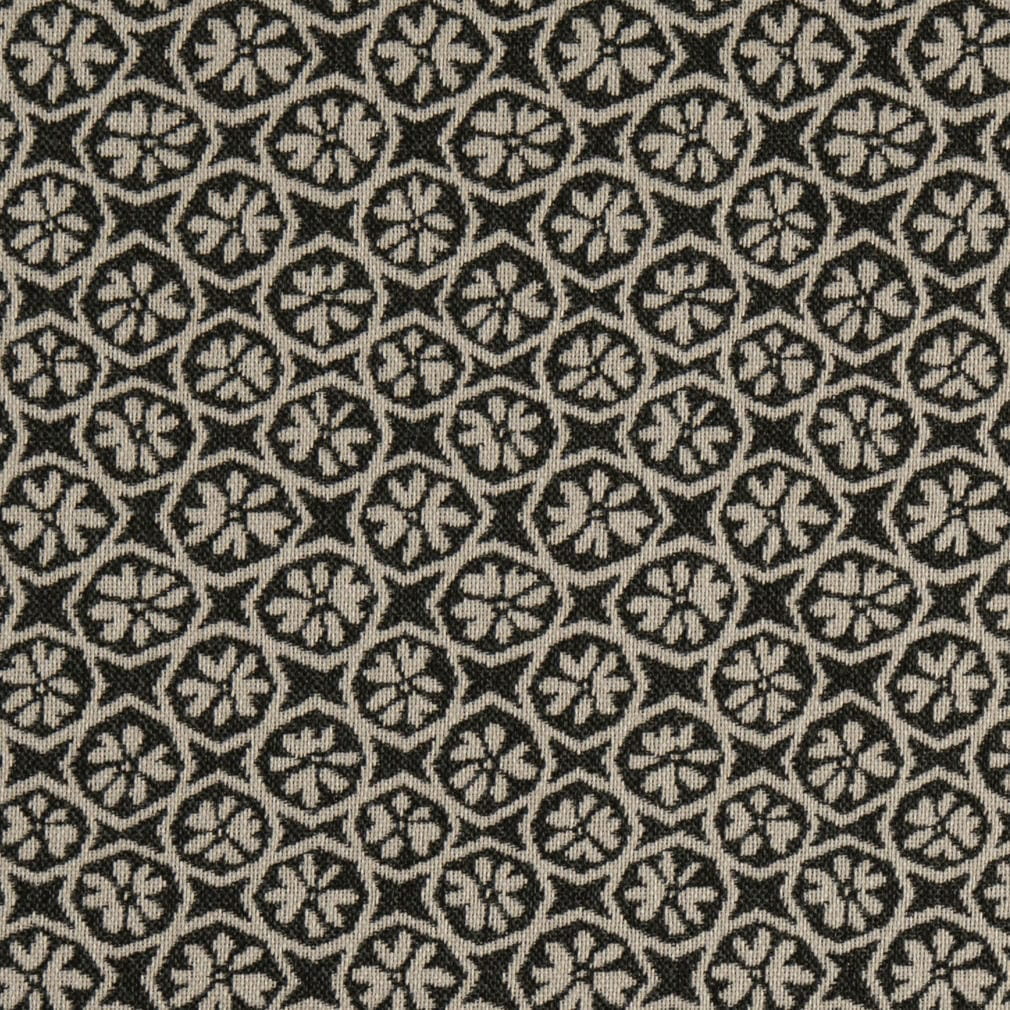 F200-198 Raven Collection (Charlotte Fabrics)