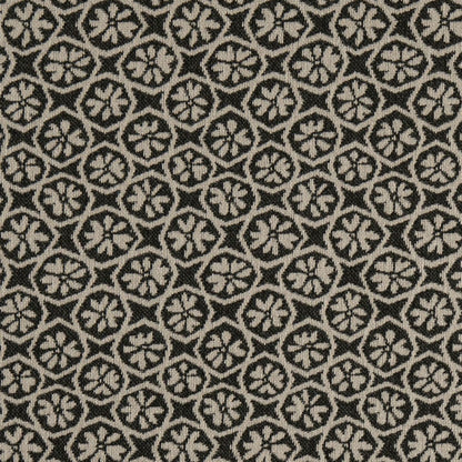 F200-198 Raven Collection (Charlotte Fabrics)