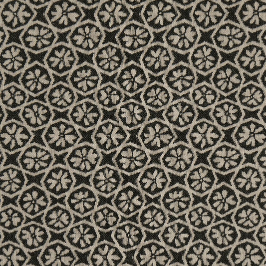 F200-198 Raven Collection (Charlotte Fabrics)
