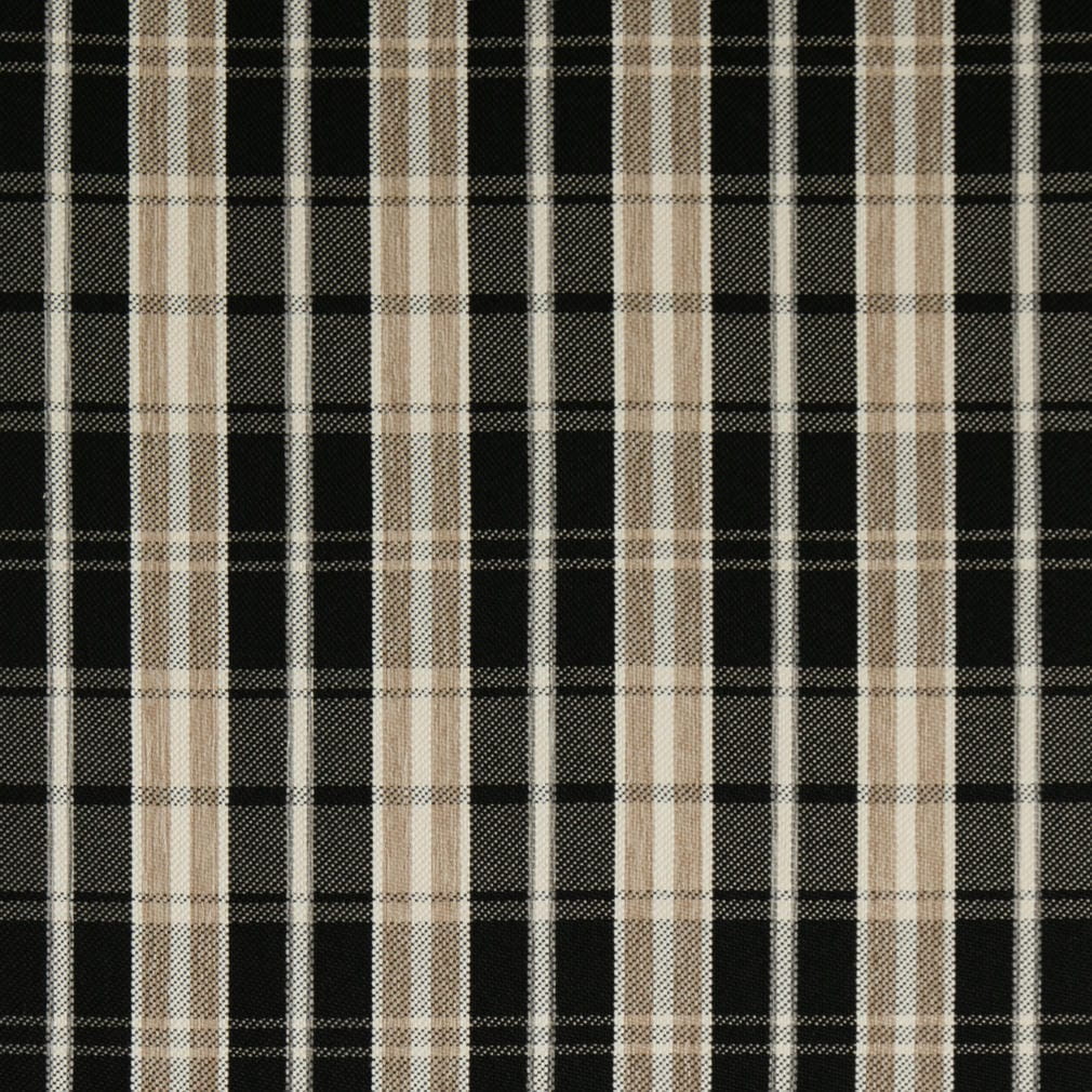 F200-200 Raven Collection (Charlotte Fabrics)