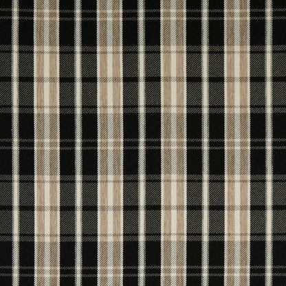 F200-200 Raven Collection (Charlotte Fabrics)