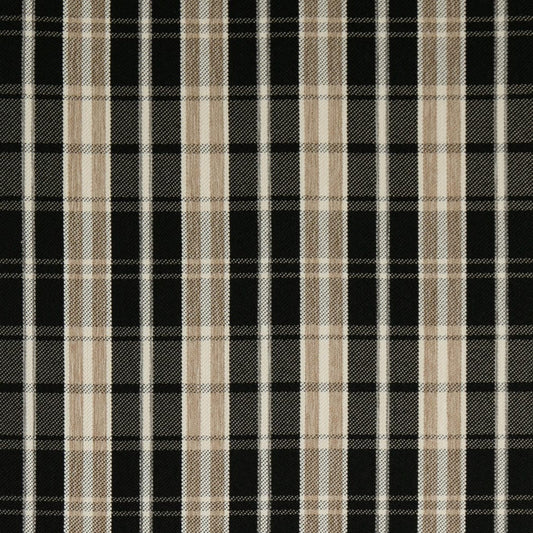 F200-200 Raven Collection (Charlotte Fabrics)