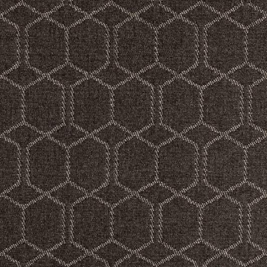 F200-207 Raven Collection (Charlotte Fabrics)