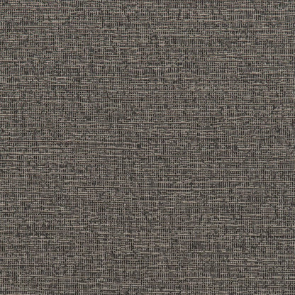 F300-144 (Charlotte Fabrics)