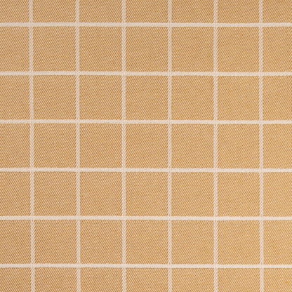 F300-297 CRYPTON Goldenrod Collection (Charlotte Fabrics)