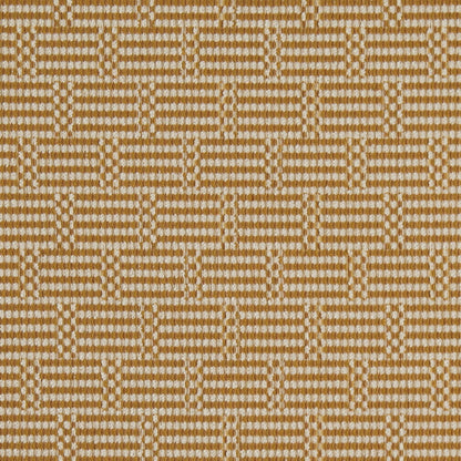 F300-299 CRYPTON Goldenrod Collection (Charlotte Fabrics)