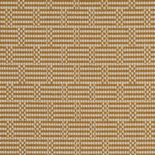 F300-299 CRYPTON Goldenrod Collection (Charlotte Fabrics)