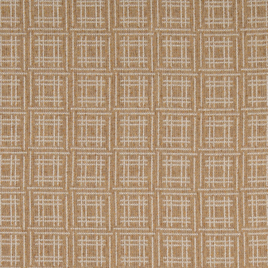 F300-318 Goldenrod Collection (Charlotte Fabrics)