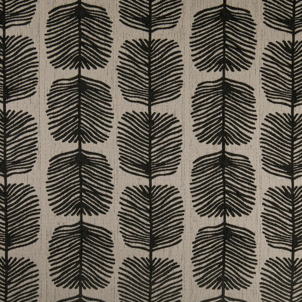 F300-334 Raven Collection (Charlotte Fabrics)