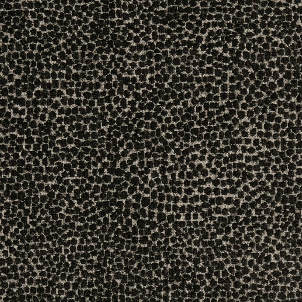 F300-338 Raven Collection (Charlotte Fabrics)