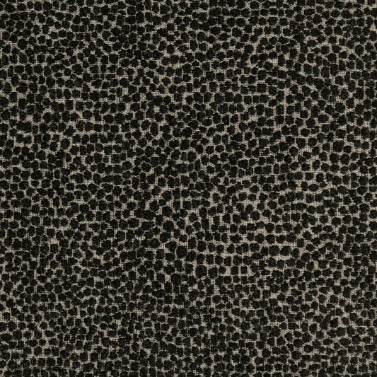 F300-338 Raven Collection (Charlotte Fabrics)