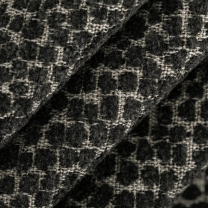 F300-338 Raven Collection (Charlotte Fabrics)