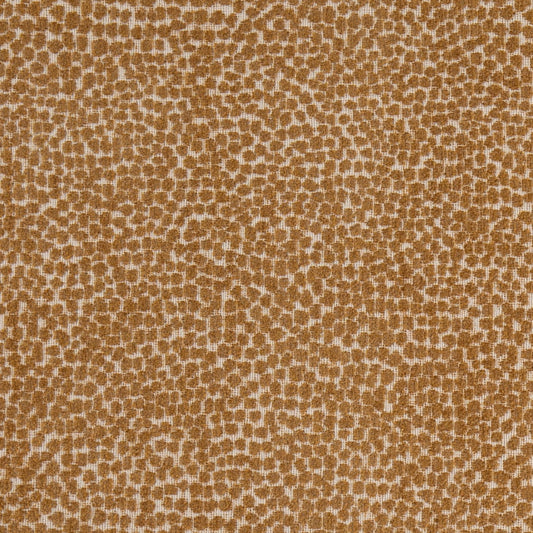 F300-339 Goldenrod Collection (Charlotte Fabrics)