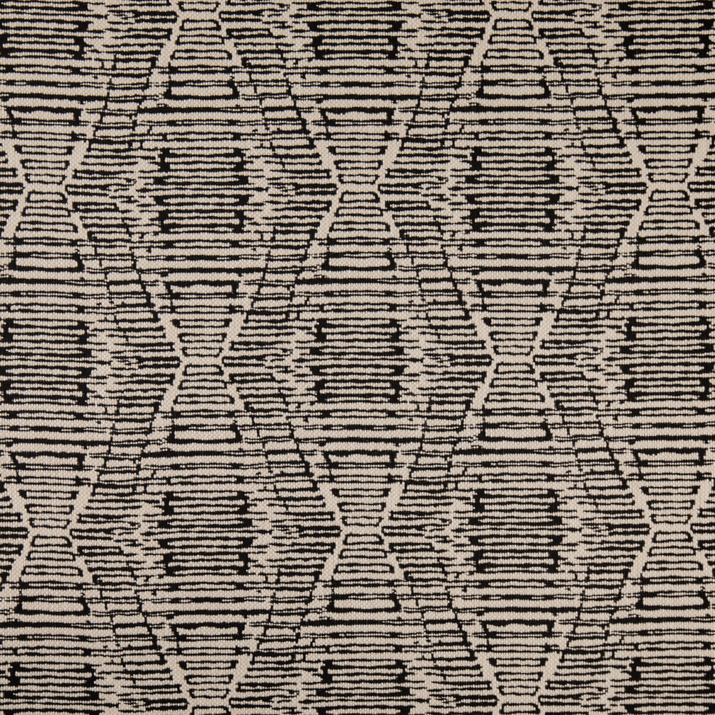 F300-342 Raven Collection (Charlotte Fabrics)