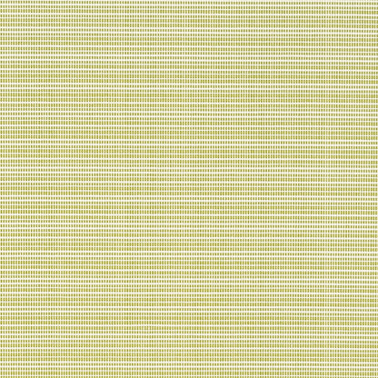 T1014 Avocado OUTDOOR PLAINS (Charlotte Fabrics)