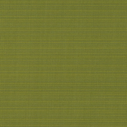 T1016 Grass OUTDOOR PLAINS (Charlotte Fabrics)