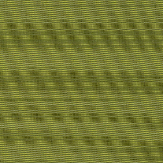 T1016 Grass OUTDOOR PLAINS (Charlotte Fabrics)