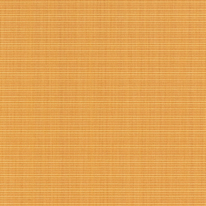 T1017 Straw OUTDOOR PLAINS (Charlotte Fabrics)