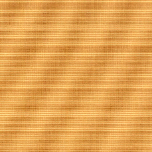 T1017 Straw OUTDOOR PLAINS (Charlotte Fabrics)