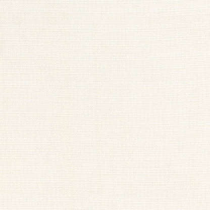 T1028 Alabaster OUTDOOR PLAINS (Charlotte Fabrics)