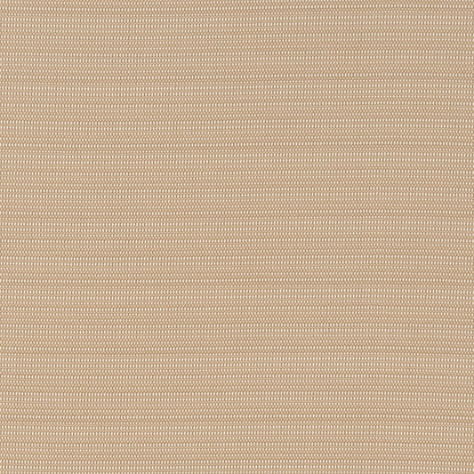 T1031 Almond OUTDOOR PLAINS (Charlotte Fabrics)