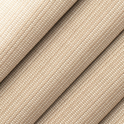 T1031 Almond OUTDOOR PLAINS (Charlotte Fabrics)