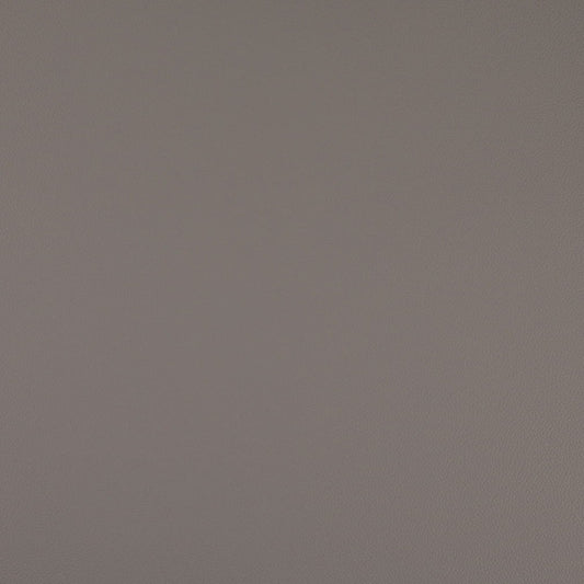 V1003 Flint Marine Vinyl II Collection (Charlotte Fabrics)