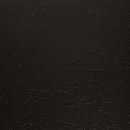 V1009 Ebony Marine Vinyl II Collection (Charlotte Fabrics)