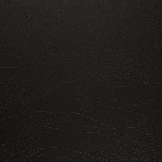 V1009 Ebony Marine Vinyl II Collection (Charlotte Fabrics)