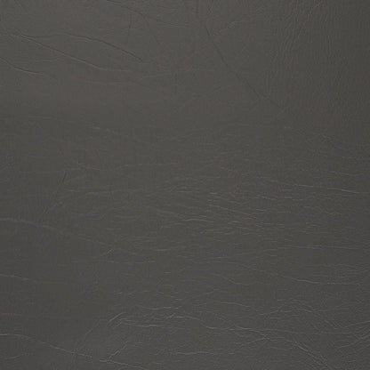 V1010 Shadow Marine Vinyl II Collection (Charlotte Fabrics)